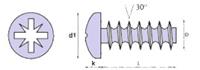 PLAS-TECH 30°-2.2X6-VERZINKT-POZI-BOLKOP