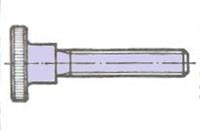 DIN 464-M 5X8-STZN: HOGE KARTELSCHROEF,VERZINKT