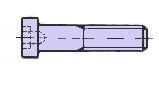 DIN 6912-M 5X12-8.8 VERZINKT: LAGE CK SCHROEF MET Bi6K EN BORING
