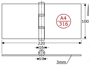 346281 - scharnieren met losse RVS-316 100x220x3 mm 10mm
16mm
